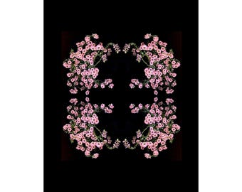 Limited Edition Fine Art Print-Flowers-Floral-Florography-Modern Art-Pink-Black-Flower-Abstract-Nature-Minimalist-Minimal-Interior Design