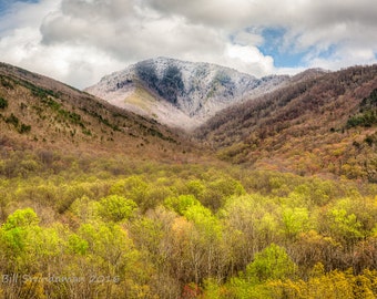 Smoky Mountains Spring Landscape – Mount Le Conte