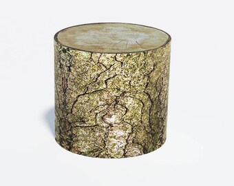 Fir cylinder seat. Fir furniture. Fir chair. Fir floor cushion. Fir stool. Fir log seat. Fir ottoman. Fir table. Fir footrest. Fir lounge.