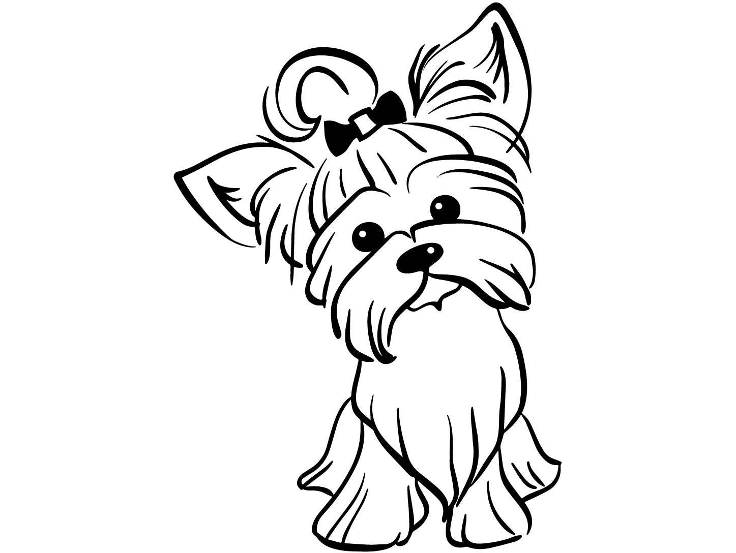 Download Yorkshire Terrier #3 Yorkie Dog Breed K-9 Pedigree ...