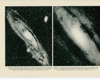 1959 ANDROMEDA CONSTELLATION lithograph - original vintage celestial astronomy print