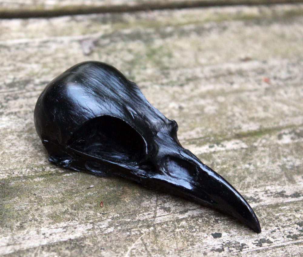 jet black plastic magpie skull