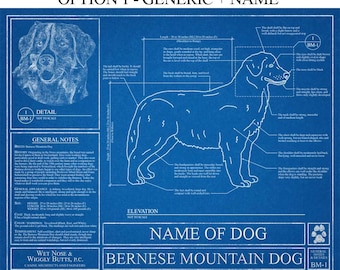 Personalized Bernese Mountain Dog Blueprint / Bernese Mountain Dog Art / Bernese Mountain Dog Wall Art / Bernese Mountain Dog Gift