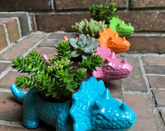 Triceratops Planter
