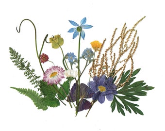 Real Dried Pressed Floral Mix - Pressed Leaves and Blossoms Set - Pressed Green Leaves - Dried Flowers Set - Natural Flowers - 15 psc Plants