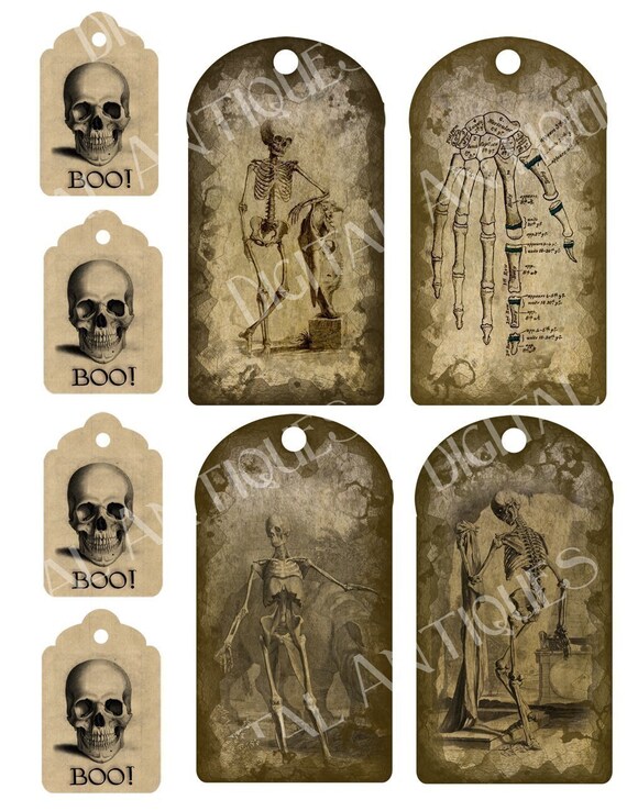 skeleton tag