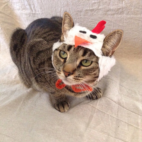 Chicken Hat For Cats