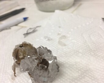 Crystals on Cicada shell