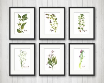 Watercolor Herbs Prints,Herb Print, Herbs Kitchen Decor, Botanical Print, Kitchen Art, Culinary Herb Print