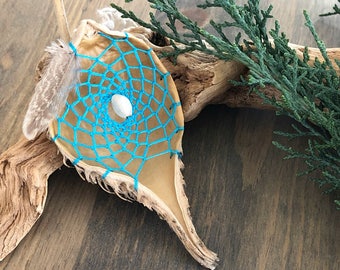 Turquoise milkweed seed pod dream catcher