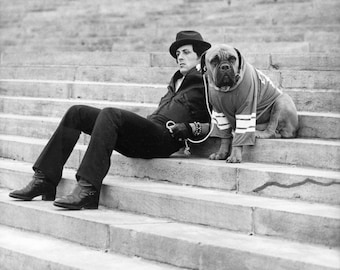Rocky, Rocky Balboa, English bulldog,Philadelphia, steps rocky, Rocky, sylvester stallone, Boxing , Rocky Balboa,