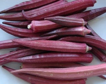 Organic Red Burgundy Okra Heirloom Vegetable Seeds