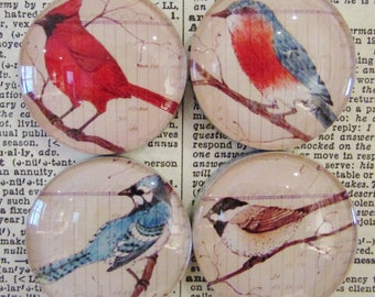 Bird Magnets Set of Four - Original Art Magnets - RareEarth Magnet - Cardinal - Chickadee - BlueBird - BlueJay - Office Decor - Gift for Him