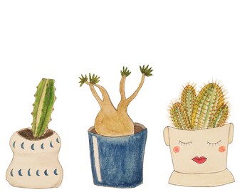 Trois plantes succulentes peinture