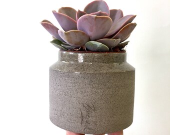 Ceramic planter, Succulent planter, Indoor planter, Plant pot, Small planter, Decorating planter, Gray planter, Modern planter, small pot
