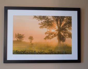 Pastoral Dream--Framed Print