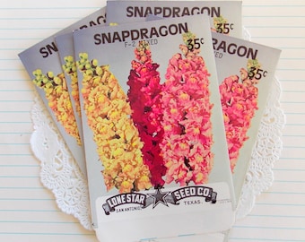 Vintage Snapdragon Seed Packets / Lot of 5 / Vintage Seeds / Junk Journal / Paper Ephemera