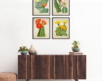 Cactus Botanical Print Set, Botanical Four Print Set, Home Decor, Vintage Illustrations, Cactus Art Reproduction, Cactus 4 Print Set m010
