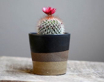 Handmade Planter, Spring, Succulent Planter, Ceramic Planter, Indoor Planter, Pottery Planter, Small Planter, Cactus Planter,Modern Planter
