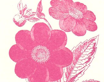 6 Pink Flower Letterpress Cards