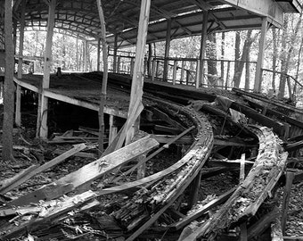 Abandoned Roller Coaster in Woods Photo Print
