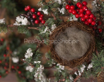 Newborn Digital Background - Digital Winter Nest Instant Download