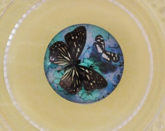 blue butterfly glass cabochon