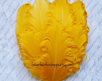 1 Yellow Curled Goose Feather Pad