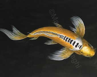 Butterfly koi print from my original painting.