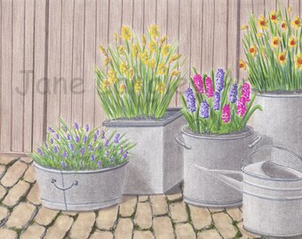 Spring Flowers : A4 print of my original artwork