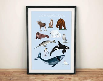 Posters Animals of the Arctic and Antarctic