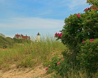 Nobska Lighthouse, Rosa Rugosa, Cape Cod Photography, 11x14, Ready To Ship, Woods Hole, MA, Wall Art, Home or Office Decor, Cape Cod Roses