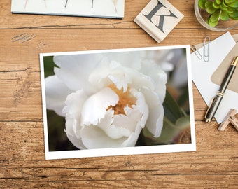 Peony Photo Notecard, Blank Greeting Card, Photo Greeting Card, Floral Card, Note Card, Floral Photo Notecard, Blank Stationery