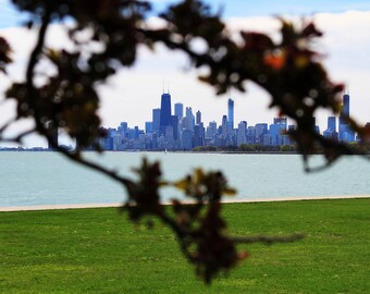 Hidden Chicago Skyline Print