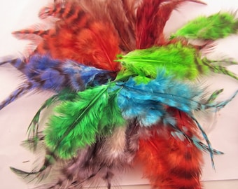 100 assorted saddle feathers grizzly Dyed 2 to 3 inches craft feathers fly-tying crafts