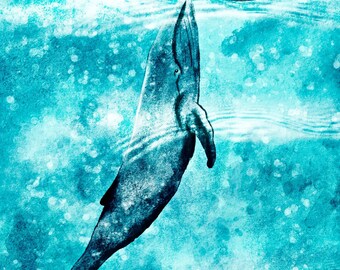 Address book Whale