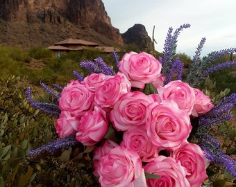 Pinkish Dreams