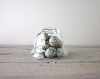 Small Vintage Glass Cloche Bell Jar Dome