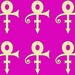 6 PCS Prince Symbol Unfinished Wood Shapes
