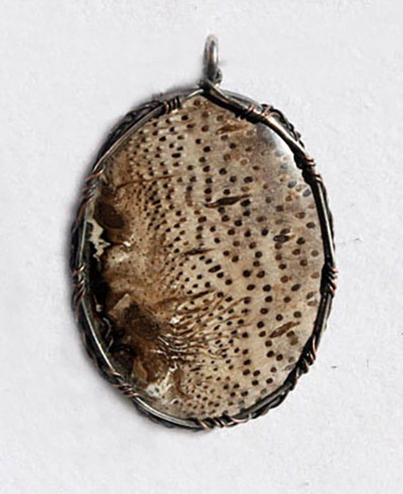 Pendant of petrified palm wood wrapped Celtic style