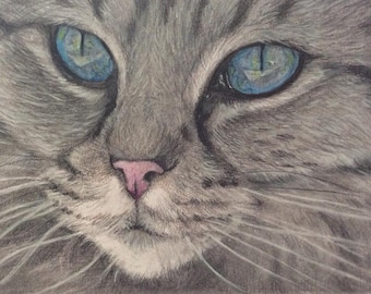 Original drawing - Realistic blue eyes cat