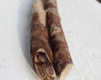 Driftwood Sticks with Bark for Rustic and Boho Art / Home Decor Projects 2 Piece set BH2