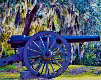 McAllister battler field canon canvas print