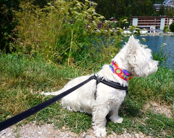 Dog Cooling Collar, Fabric Neck Cooler Band Collar w/ Buckle, Small/Medium fits 12 to 16 inch neck, West Highland Terrier, Westie iycbrand