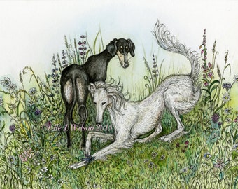 Saluki Hound Dog Art Print