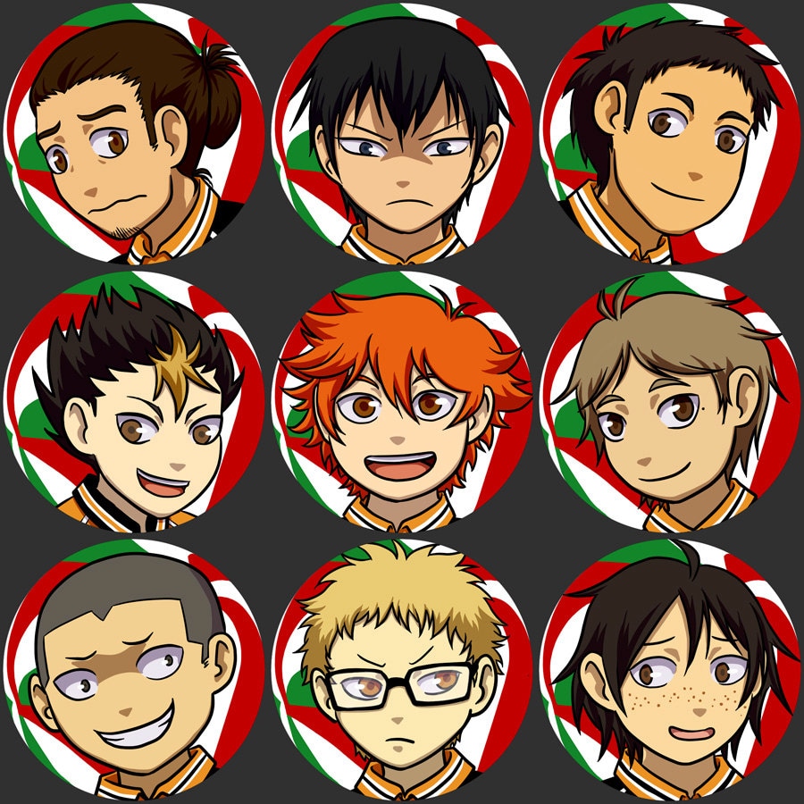 Haikyuu Karasuno Stickers