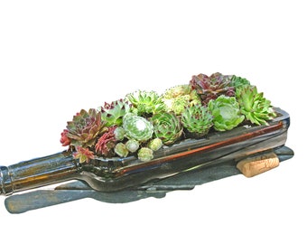 Hens And Chicks Succulent Planter / Wine Bottle Planter / Garden / Wine Gifts / House Warming / Windowsill Planter / Sempervivum / Glass