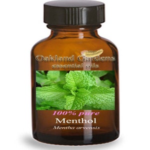 15 mL x MENTHOL - 100% PURE Therapeutic Grade Essential Oil - Menthol used as a flavoring for centuries