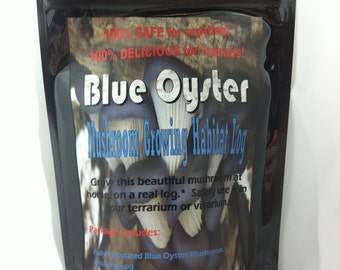 oyster kit organic mushrooms grow books recycling