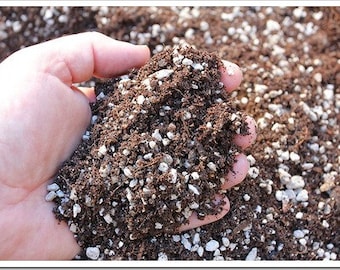 1 gallon bag PLUMERIA soil......Pearlite rich potting soil